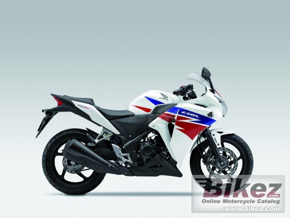 2013 Honda CBR 250R                photo